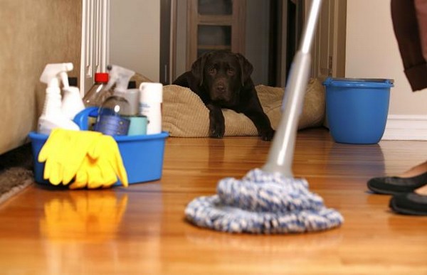 10 tipov na šetrné a lacné domáce čistiace prostriedky