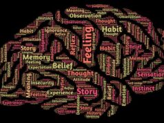 ako posilňovať mozog