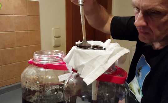 recept na domáce ríbezľové víno