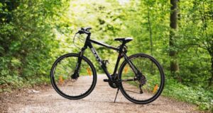 servis bicykla pred sezónou