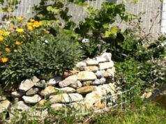 bylinková špirála