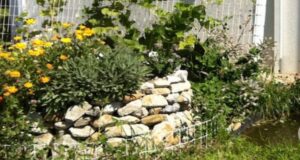 bylinková špirála