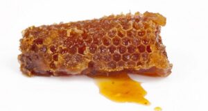 propolis