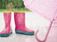 počasie na internete