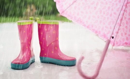 počasie na internete