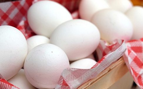 praktické tipy, ako vajíčka vydržia dlhšie čerstvé