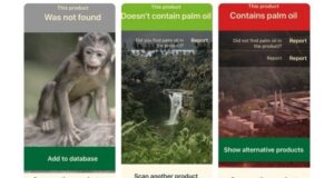 aplikácia palmový olej