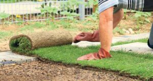 pokladáme trávnikový koberec