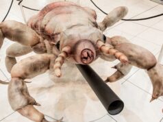 výstava Mikrokozmos