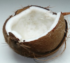 kokosový orech otvorený