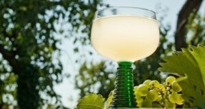 ako spoznať kvalitný burčiak