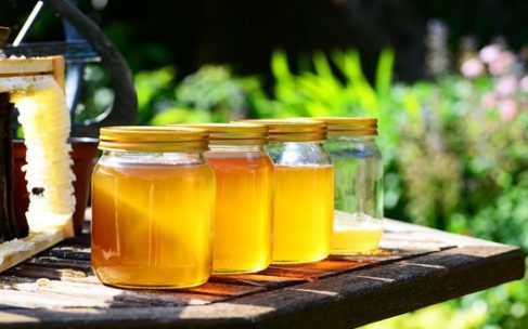 liečivý med