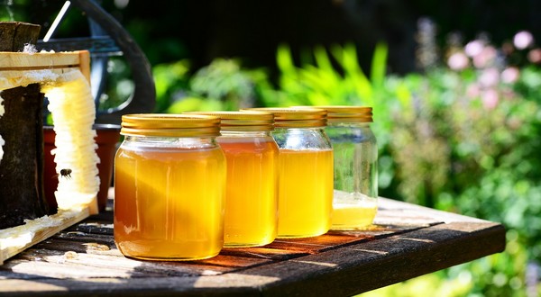 liečivý med