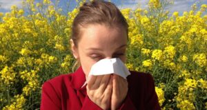 alergie imunitné okno