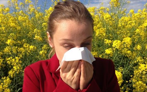 alergie imunitné okno