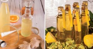 domáce sirupy zázvorový sirup a lipový sirup