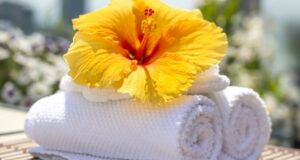 danšari umenie upratovať