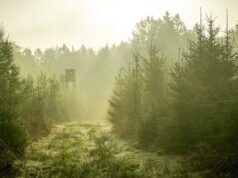 8 nových rozhľadní, ktoré sa oplatí navštíviť 8 nových rozhľadní