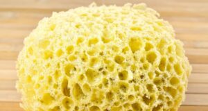 špongia plná škodlivých mikróbov