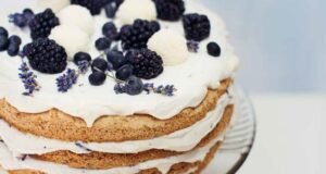 vanilkovo-čučoriedková torta | recept