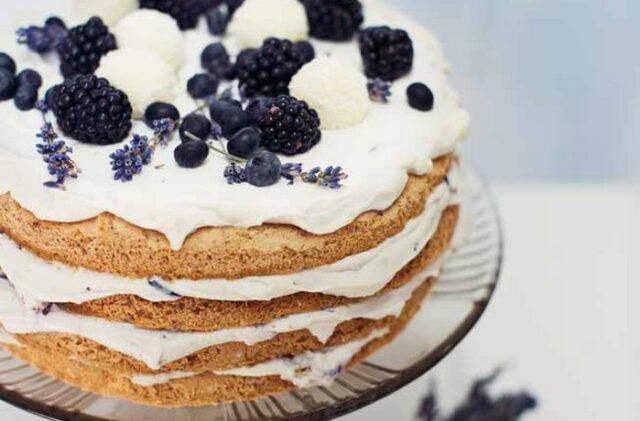 vanilkovo-čučoriedková torta | recept