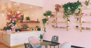 izbové rastliny - 8 najčastejších problémov