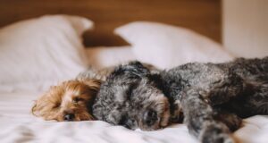 aký matrac pre dobrý spánok