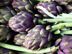 liečivé a chutné artičoky
