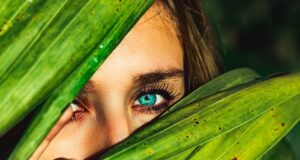 vhodné potraviny pre zrak