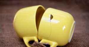 empatia 5 tipov a rád