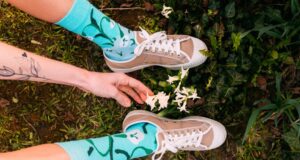 Deň zeme a ponožky dedoles