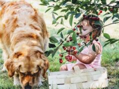 terapia zvieratami - pes