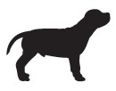 ikona pes