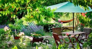 zlepšite si deň na záhrade