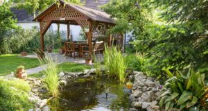 ako si udržať jazierko čisté?