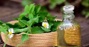 bylinné octy recepty