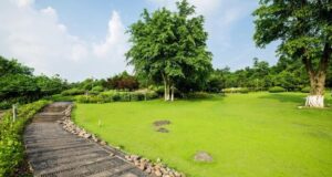 zatrávňovacia dlažba