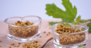 liečivý včelí peľ