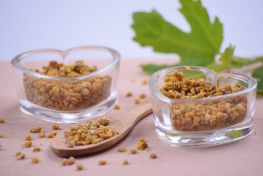 liečivý včelí peľ