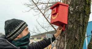 originálne vtáčie búdky McDonald´s