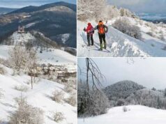 Bežkovanie okolo Paradajsu