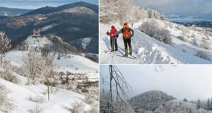 Bežkovanie okolo Paradajsu