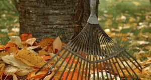 posledné exteriérové úpravy