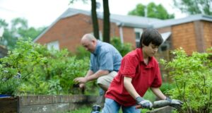 práca na záhrade ročný kalendár