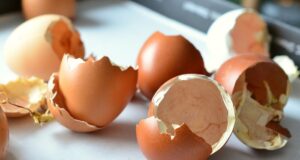 škrupiny z vajíčok