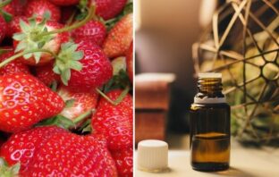 jahodový olej účinky a recept