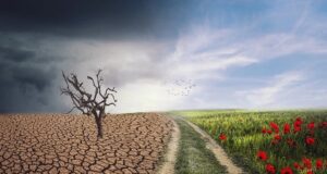 teplejšia klíma a dôsledky