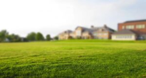 suché miesta v trávniku a nerovnosti