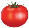 ikona paradajky