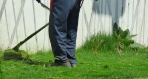 na čo myslieť pri kosení trávnika